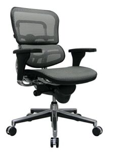 Eurotech Seating Ergohuman Mid Back Mesh Swivel Chair, Grey
