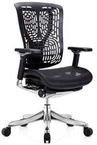 GM Seating Ergobilt High-Back Ergonomic Office Chair – Large Mesh Chair with Lumbar Support & Adjustable Armrest – Swivel Computer Desk Chair with Height Adjustable backrest – Aluminum Base – Black