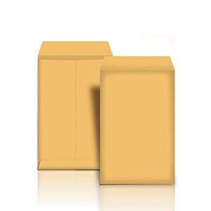 Amazon Basics Catalog Mailing Envelopes, Peel & Seal, 10×13 Inch, Brown Kraft, 100-Pack