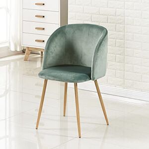EGGREE Mid Century Modern Accent Chair Green, Velvet Living Room Armchair Upholstered Club Chair Dining Chair with Solid Steel Legs for Bedroom Reception Room Accent Furniture,Cactus