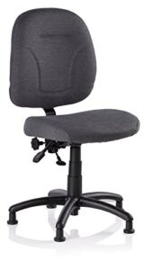 Reliable SewErgo 200SE Ergonomic Task Chair Made in Canada with Adjustable Back Sewing Chair, Height Adjustable, Contoured Cushion, 250Lb Capacity