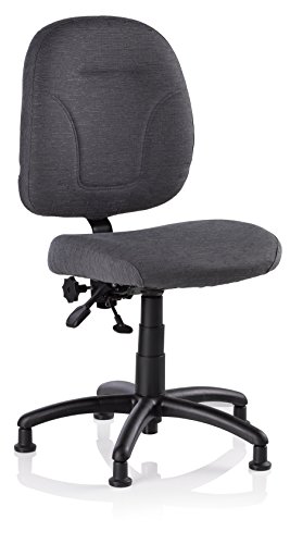 Reliable SewErgo 200SE Ergonomic Task Chair Made in Canada with Adjustable Back Sewing Chair, Height Adjustable, Contoured Cushion, 250Lb Capacity | The Storepaperoomates Retail Market - Fast Affordable Shopping