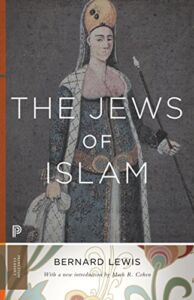 The Jews of Islam: Updated Edition (Princeton Classics, 11)