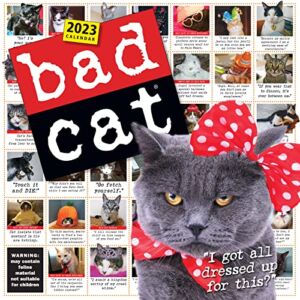 Bad Cat Wall Calendar 2023: Hilarious Photos Celebrating the Misfits of the Feline World