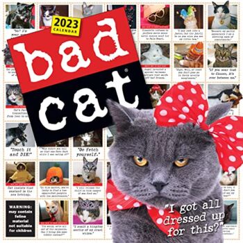 Bad Cat Wall Calendar 2023: Hilarious Photos Celebrating the Misfits of the Feline World | The Storepaperoomates Retail Market - Fast Affordable Shopping