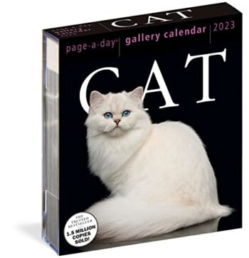 Cat Page-A-Day Gallery Calendar 2023 | The Storepaperoomates Retail Market - Fast Affordable Shopping