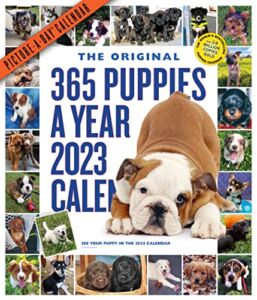 365 Puppies-A-Year Picture-A-Day Wall Calendar 2023: Absolutely Spilling Over With Puppies