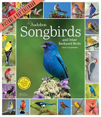 Audubon Songbirds and Other Backyard Birds Picture-A-Day Wall Calendar 2023 | The Storepaperoomates Retail Market - Fast Affordable Shopping