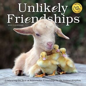 Unlikely Friendships Wall Calendar 2023: Heartwarming Photographs Paired with Stories of Interspecies Friendships