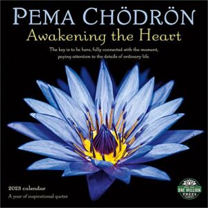 Pema Chodron 2023 Wall Calendar: Awakening the Heart – A Year of Inspirational Quotes | 12″ x 24″ Open | Amber Lotus Publishing