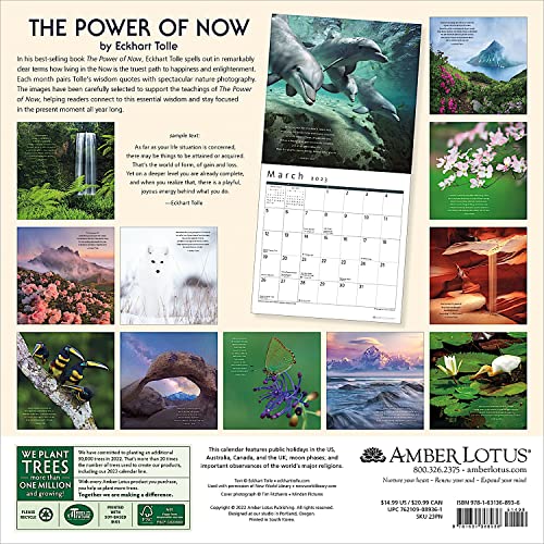 The Power of Now 2023 Wall Calendar: A Year of Inspirational Quotes by Eckhart Tolle | 12″ x 24″ Open | Amber Lotus Publishing | The Storepaperoomates Retail Market - Fast Affordable Shopping