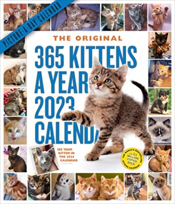 365 Kittens-A-Year Picture-A-Day Wall Calendar 2023: Absolutely Spilling Over With Kittens | The Storepaperoomates Retail Market - Fast Affordable Shopping