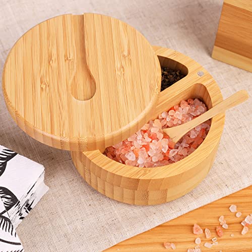 Bamboo Salt and Pepper Bowls by HTB, Divided Salt Cellar With Swivel Lid and Spoon, Seasoning Containers With Magnetic Lid to Keep Dry, Mini Spoon Built Into Top (Large) | The Storepaperoomates Retail Market - Fast Affordable Shopping