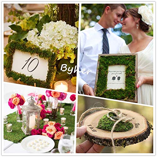 BYHER Dried Moss Mat for Wedding Birthday Party Fairy Garden Decorations, Dark Green (Green – 14″ X 9″) | The Storepaperoomates Retail Market - Fast Affordable Shopping