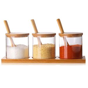 FANTESTICRYAN 3 PCS Stylish Simple Condiment Canisters Pots Set, Decorative Storage Seasoning Glass Container Box with Bamboo Spoon Lid and Base for Home Kitchen café Storing Salt Sugar Pepper Spice
