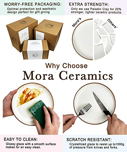 Mora Ceramic Plates Set, 7.8 in – Set of 6 – The Dessert, Salad, Appetizer, Small Dinner Plate etc. Microwave, Oven, and Dishwasher Safe, Scratch Resistant. Kitchen Porcelain Dish – Vanilla White | The Storepaperoomates Retail Market - Fast Affordable Shopping