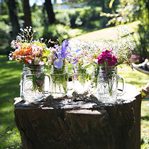 Libbey County Fair Glass Drinking Jars, 16.5-ounce, Set of 12 | The Storepaperoomates Retail Market - Fast Affordable Shopping