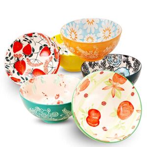 DeeCoo Porcelain Bowls Set (18-Ounce, 6-Piece) – Bowls for Cereal, Soup, Salad, Pasta, Fruit, Ice Cream Bowls Service – Microwave and Dishwasher Safe, Assorted Designs