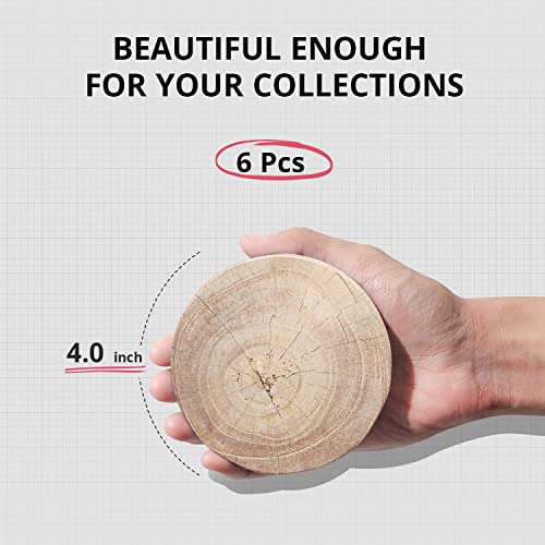 LIFVER Coasters for Drinks with Cork Base, Ceramic Stone Coasters for Coffee Table, Housewarming Gift for Friends – Men, Women Birthday, Home Decor, Timber Texture Pattern, 4 Inches, 6 Pcs | The Storepaperoomates Retail Market - Fast Affordable Shopping