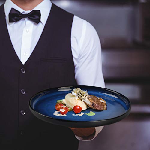 Porcelain Dinner Plates,10 Inch Dishes Plates Set for Salad,Dessert,Steak,Pasta,Set of 4,Blue | The Storepaperoomates Retail Market - Fast Affordable Shopping