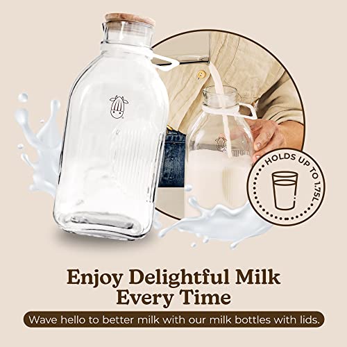 Almond Cow Glass Milk Jug – 60 Fluid Ounces | Perfect Milk Container Carafe for Refrigerator Fit – Glass Pitcher Milk Bottle – Food Grade Glass Bottles | The Storepaperoomates Retail Market - Fast Affordable Shopping