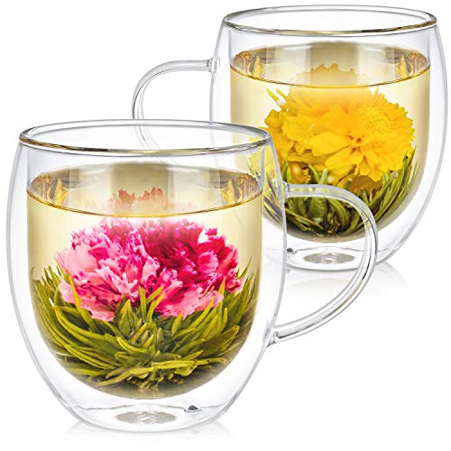 Teabloom Oversized Insulated Borosilicate Glass Mugs (17 oz / 500 ml) – Set Includes 2 Mugs + 2 Blooming Teas – Premium Quality Microwave Safe Glasses | The Storepaperoomates Retail Market - Fast Affordable Shopping