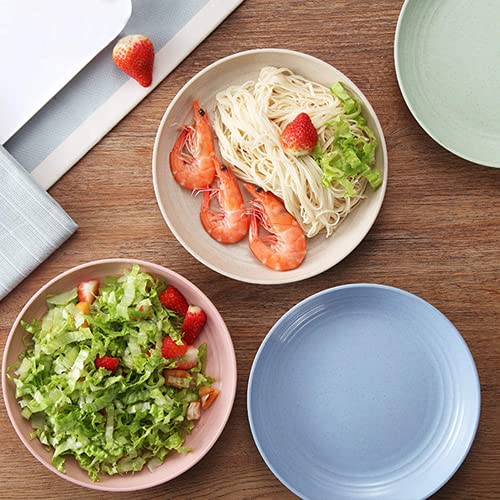 shopwithgreen Wheat Plastic Reusable Dinner Plates, Camping Outdoor Plates Sets, for Kitchen, Dorm Room, Microwave Dishwasher Safe, Unbreakable and Lightweight, 7.8 Inch, 4 PCS | The Storepaperoomates Retail Market - Fast Affordable Shopping