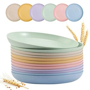 12 PACK 9 Inch Lightweight Wheat Straw Plates, Unbreakable Deep Dinner Plates, Plastic Plates Reusable, Assorted Colors Dinnerware Sets, Microwave & Dishwasher Safe