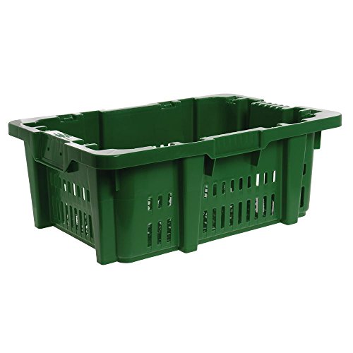 Orbis Green Plastic Large Vented Produce Container – 23 9/10″L x 18 7/10″ W x 8 4/5″H | The Storepaperoomates Retail Market - Fast Affordable Shopping