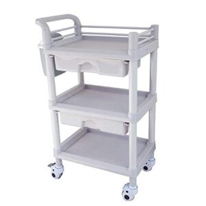 ZSCLLCQ Storage Hand Trucks,Kitchen Movable Trolleys, Abs Portable Beauty Spa Rolling Trolley with Dirt Bucket Drawers