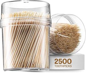 2500 Wooden Toothpicks – With Reusable Holder | Sturdy Smooth Finish Tooth Picks | Cocktail Picks | Toothpicks For Appetizers | Toothpicks Wood