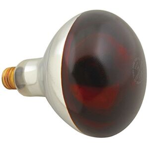 FMP Red Glass 250 Watt Safety Coated Food Warming Bulb