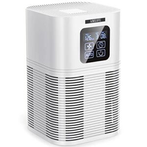 Air Purifiers for Bedroom Home Large Room 610 sq.ft, AMEIFU H13 Hepa Air Purifier Cleaner with Aromatherapy, with Air Filter for Pets Hair, Allergies, Smoke, Dust and Bad Smell (California Available)
