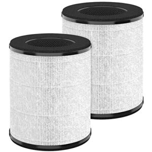 HSIAMEN Replacement Filter Compatible with Tenergy Renair, Cool-Living CL-6070A, Beaba, Tredy TD-1300, 3-in-1 H13 True HEPA Filters, White 2-Pack