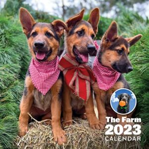 Farm Dogs 2023 Wall Calendar – 12″x 24″ opened – Thick paper – Rich print quality.