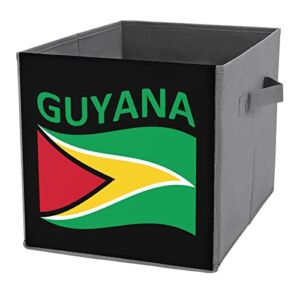 Flag of Guyana Storage Bin Foldable Cube Closet Organizer Square Baskets Box with Dual Handles