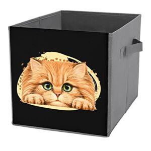 Fluffy Kitten Storage Bin Foldable Cube Closet Organizer Square Baskets Box with Dual Handles