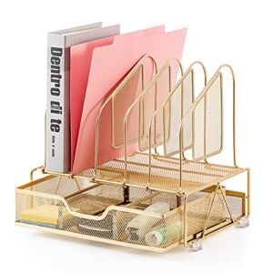 Beiz Gold Desk Organizer and Accessories Storage with 5 Vertical File Folder Holders, Paper Tray, Drawer for Women Office, Home, Dorm, Workspace to Collect Office Supplies