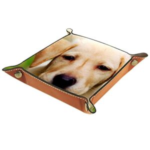 Small Storage Box,mens valet tray,cute golden retriever puppy,Leather Catchall Organizer for Coin Box Key Jewelry