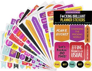 Essentials F*cking Brilliant Planner Stickers (275 stickers)