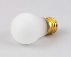 Apw Wyott 1505800 Bulb, Light 40 W APPL