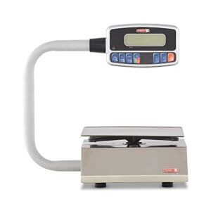 TORREY PZC5/10 Electronics Portion Control Scale, Large LCD Display, Rechargeable Battery, Tare Function, 5 kg/10 lb, Stainless Steel