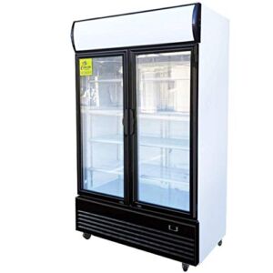 Commercial Refrigerator Glass 2-Door Merchandiser Display Cooler Case Fridge NSF, Bottom-Mounted, 48 inches width, capacity 36 cuft 110V, Restaurant Kitchen Cafe GDM-41B