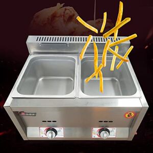 DNYSYSJ Commercial Deep Fryer Gas Food Warmer Large Fish Fryer with Temperature Control Restaurant Kitchen Equipment (Double Tank)
