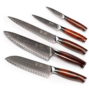 YARENH Professional Chef Knife Set 5 Piece, Japanese Damascus High Carbon Stainless Steel, Full Tang, Natural Dalbergia Wood Handle, Ultra Sharp Kitchen Knife