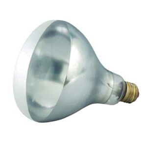 Winco – Bulb for Heat Lamp, Replacement Bulb for EHL-2, EHL-BW, Clear, 250W