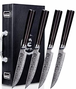 Fukep Steak knives Set of 4, Super-Sharp 5 Inch Damascus Steak Knife Set, Japanese VG10 Core Steel 73 Layers – Non-Serrated Steak Knives with Case