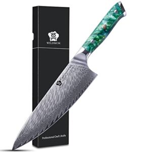 WILDMOK 8 Inch Chef Knife Super Steel 67 Layers Damascus Steel Razor Sharp Kitchen Knife with Green Resin Handle Full Tang