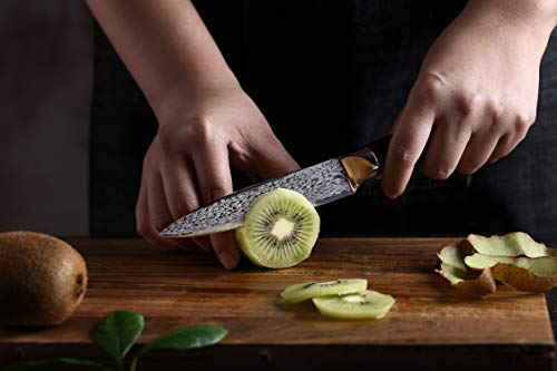 [5-Inch]Utility Paring Knife FANTECK Chef Knife German Stainless Steel Pro Razor Sharp Blade High Carbon Kitchen Cutlery Cutting Fruit Utility Knife [Gift Boxed]-Ergonomic Pakkawood Handle | The Storepaperoomates Retail Market - Fast Affordable Shopping