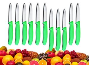 KitchenGear 12 Pcs Fruit Paring Knives – Knife Set of 12 – Small Kitchen Fruit Slicing Peeling Vegetable Tomato Knife 3.2″ Inch Utility Small Straight Edge Spear Point – Best Gift Set